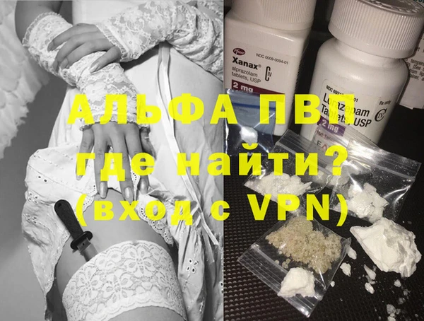 сатива Ельня