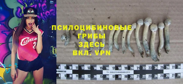 мдпв Заволжье