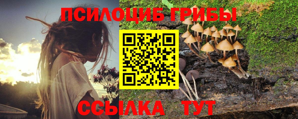 Псилоцибиновые грибы мухоморы Кореновск