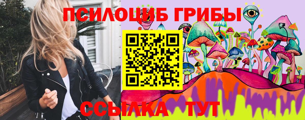 Кореновск  Псилоцибиновые грибы Cubensis  Вход с VPN 